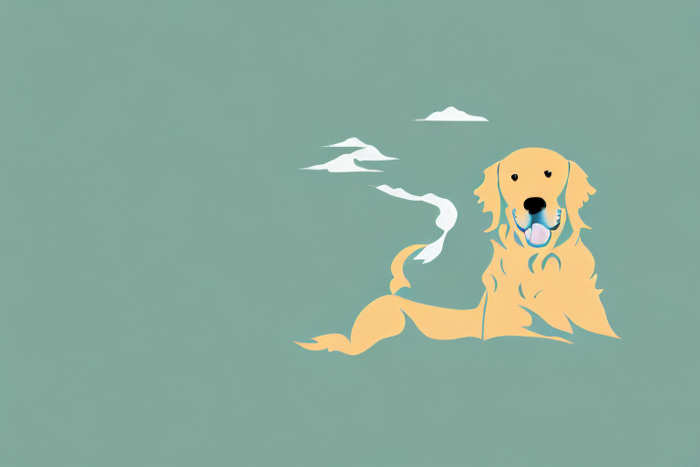 A golden retriever dog in a natural environment