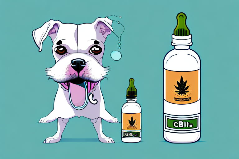A dog with a bottle of cbd oil in its mouth